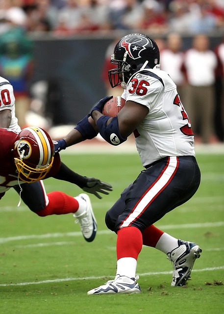 她的第二大 她的第二大