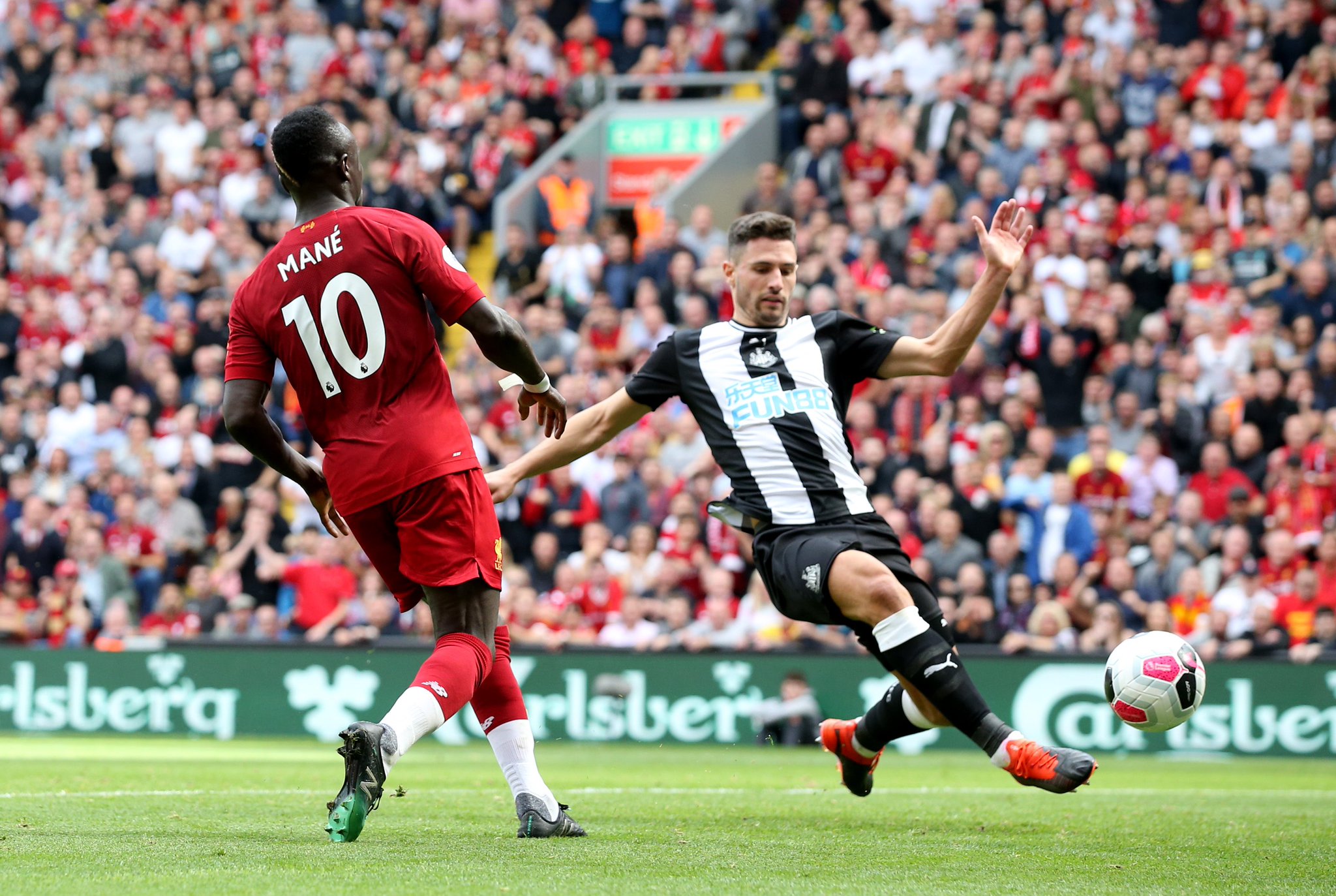 已将包括 已将包括